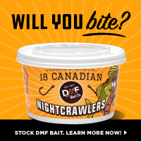 DMF Bait Ad